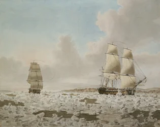 Das Rennpferd und der Kadaver, die sich durch das Eis kämpfen